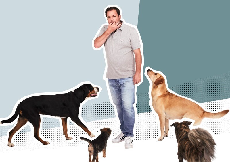 Hundeprofi Martin Rütter – Bild: MG RTL D /​ Boris Breuer