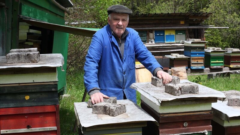 der Bienenzüchter – Bild: tv.gusto