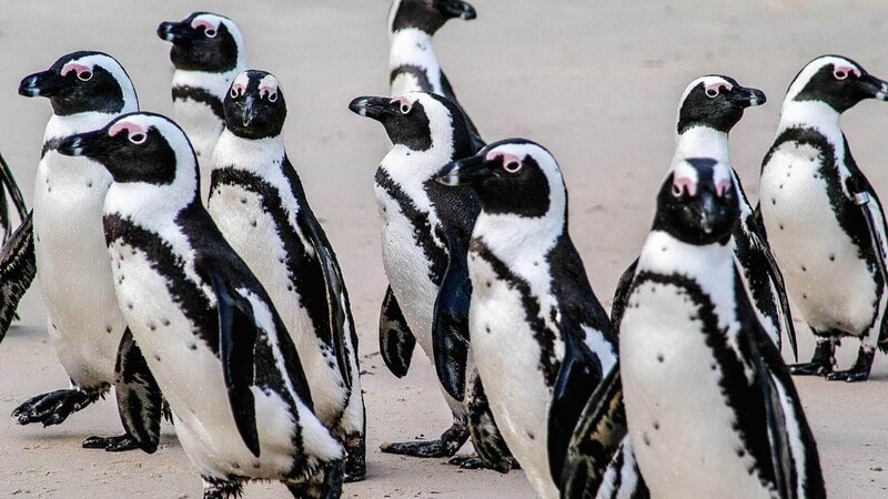 Bild: TVNOW /​ Aquavision TV Prod./​Peter Lamberti