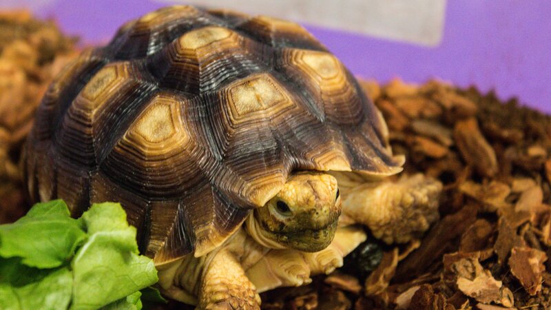 Bild: Discovery Communications