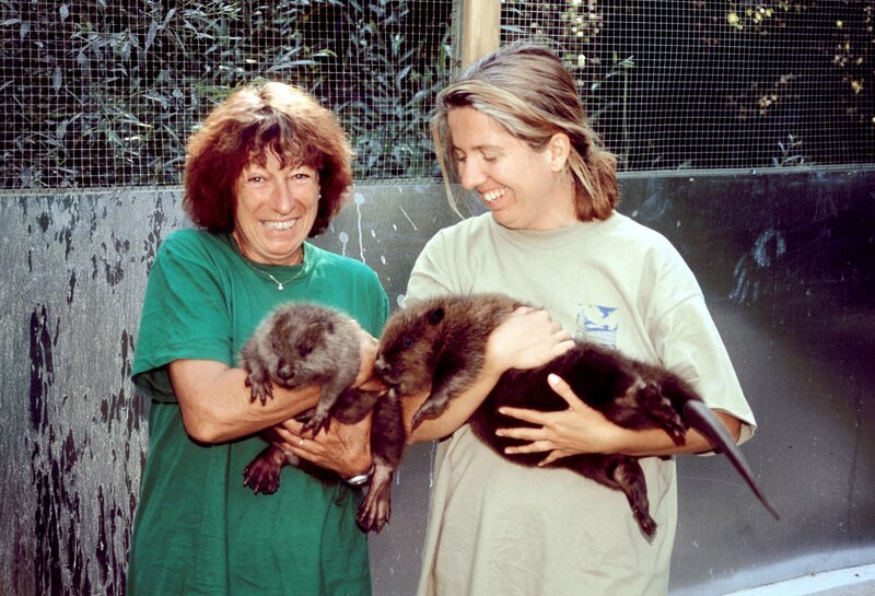 Johanna Sieber und Mitarbeiterin Barbara Merten mit den Universum Stars Flumy (li.) und Arnie. – Bild: ORF III Johanna Sieber und Mitarbeiterin Barbara Merten mit den Universum Stars Flumy (li.) und Arnie. – Bild: ORF III
