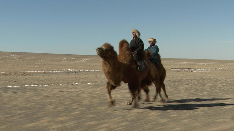 Bild: CuriosityStream Inc. /​ Spiegel TV Wissen