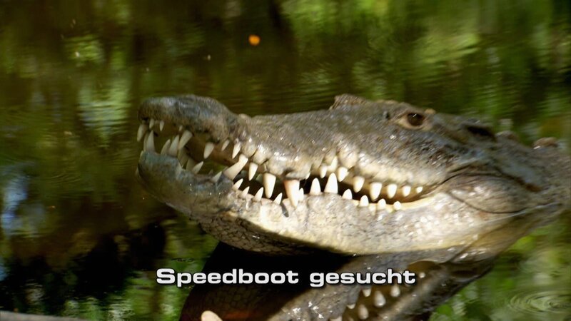 Bild: Discovery Networks