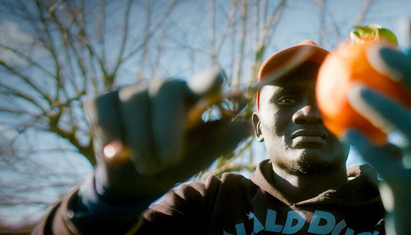 Der Dokumentarfilm „Bittere Früchte“ zeigt die unmenschlichen Bedingungen, unter denen moderne Lohnsklaven unser tägliches Obst und Gemüse auf Europas Feldern ernten. – Bild: WDR/​Markus Zahn