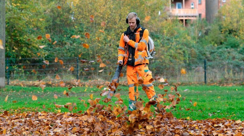 Niklas Riegel geht bei den Laubmassen mit technischer Unterstützung vor. – Bild: NDR/Hellwig Film GmbH Niklas Riegel geht bei den Laubmassen mit technischer Unterstützung vor. – Bild: NDR/Hellwig Film GmbH