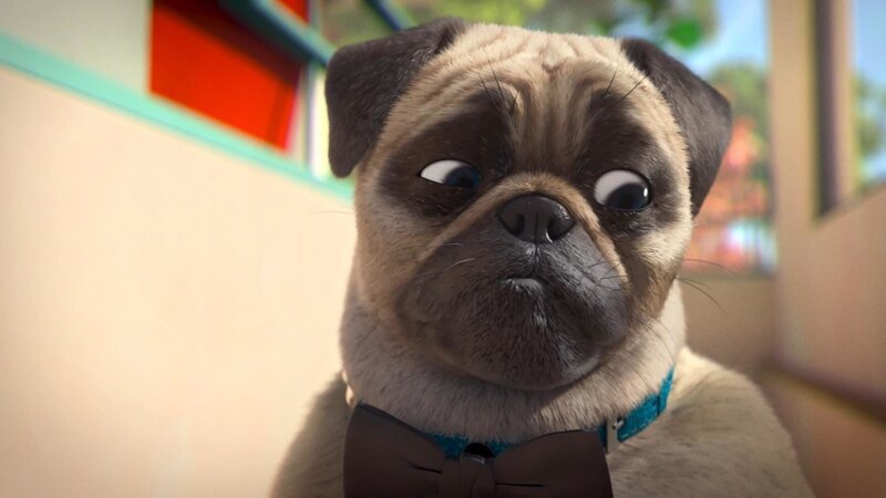 Bild: PLURIMEDIA (TeamTo)