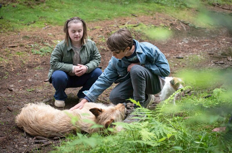 Ausgebremst! Brötchen wurde angefahren – Toni (Anna Malner, links) und Sam (Yann Cosack, rechts) leisten Erste Hilfe. – Bild: SWR/​Maria Wiesler