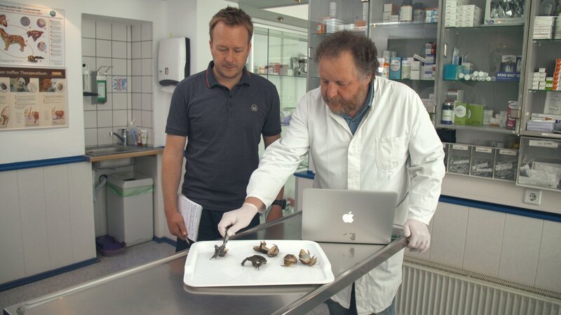 . – Bild: INSIGHT HD