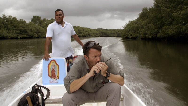 Bild: INSIGHT HD Bild: INSIGHT HD