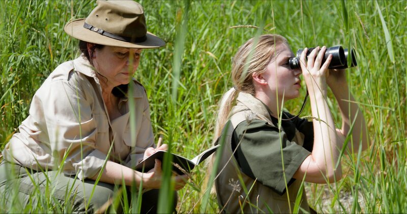 Primatenforscherinnen wie Jane Goodall und Dian Fossey nahmen große Strapazen auf sich, um das Leben von Menschenaffen aus nächster Nähe zu studieren. – Bild: ZDF und Go Button Media