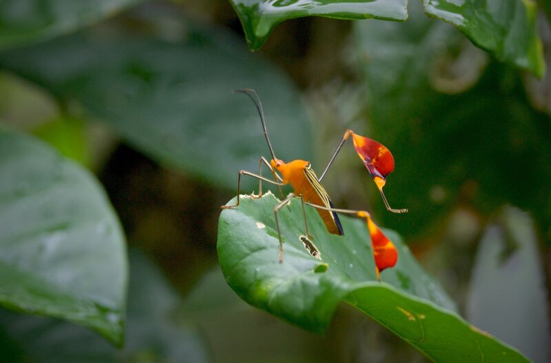 Bild: Andy Young/​Coneflower Studios