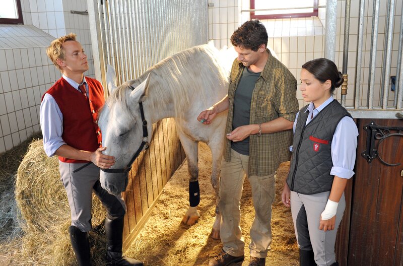(v.li.): Christoph von Friedl (Karl Lenz), Thomas Unger (Dr. Michael Haas), Jennifer Newrkla (Maria Schachner). – Bild: ORF III