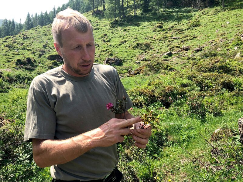 Hans-Peter Foidl – Bio-Imker aus Reith. – Bild: ORF III Hans-Peter Foidl – Bio-Imker aus Reith. – Bild: ORF III