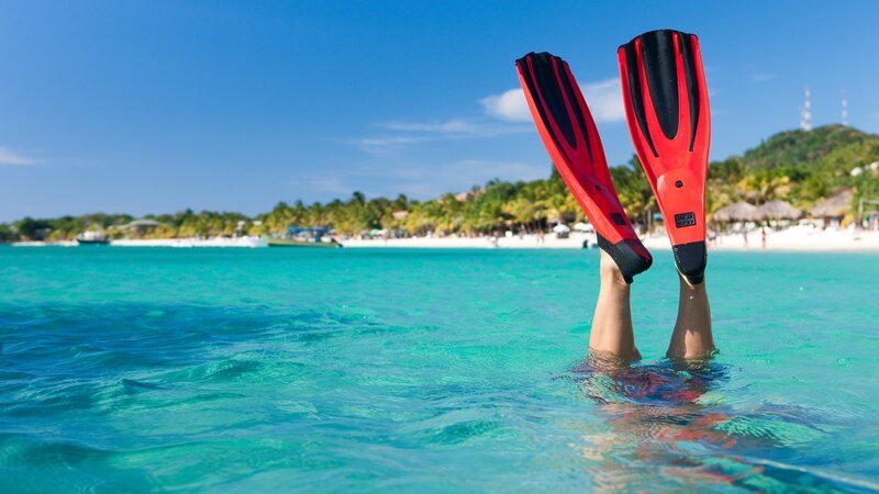 Bild: Jacom Stephens /​ avid_creative