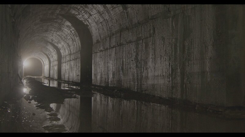 Bild: Go Button Media Lizenzbild frei