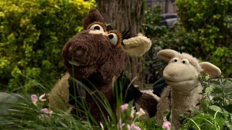 Bild: NDR/​Sesame Workshop /​ KiKA