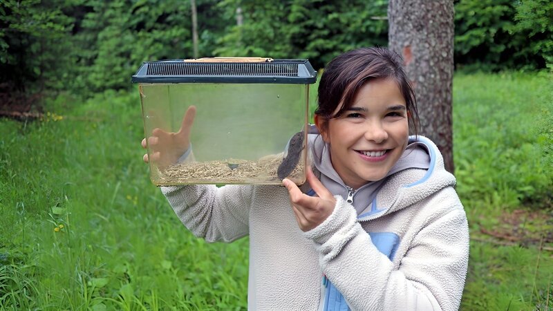 Wo ist die Bayerische Kurzohrmaus – Bild: BR/​TEXT+BILD Medienproduktion GmbH & Co. KG/​David Stille