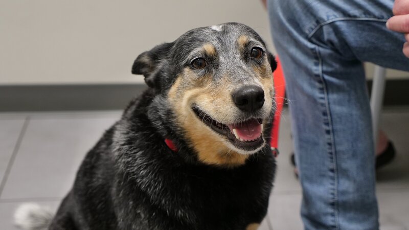 Bild: Discovery Communications, LLC