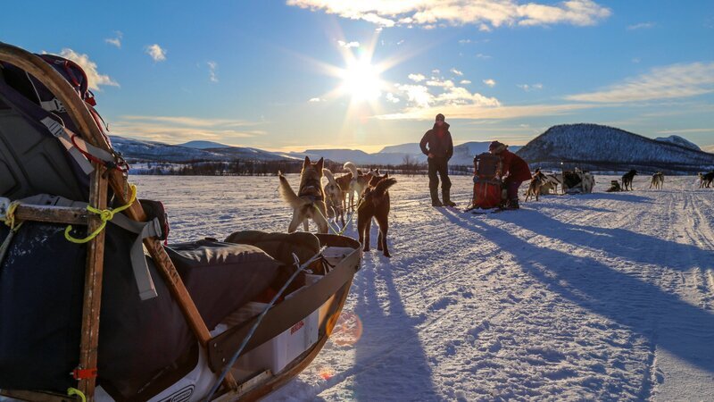 Abenteuer Lappland: Die Husky-Tour des Lebens – Bild: ZDF und SRF