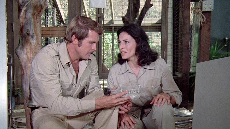 Bild: RTL Deutschland