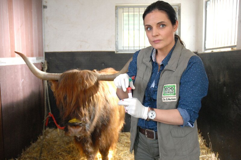 Dr. Susanne Mertens (Elisabeth Lanz) möchte verhindern dass die Kuh Mathilda gekeult wird. Sie veranlasst entgegen Dr. Fährmanns ausdrücklicher Anweisung eine Vergleichsprobe. – Bild: ARD/​Christa Köfer