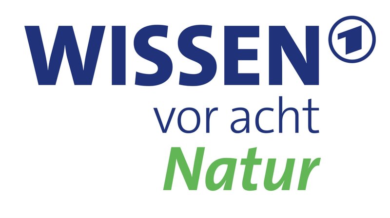 Logo – Bild: ARD/​Design /​ ARD-Programmdirektion