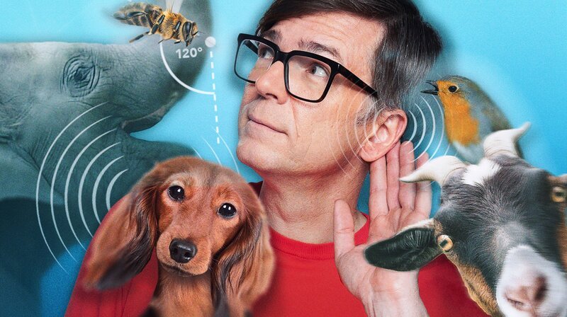 Bild: WDR/​Tilman Schenk/​imageBROKER/​newspixx vario Images/​picture alliance/​blickwinkel/​D. Maehrmann/​ddp/​Dreblow/​picture alliance/​blickwinkel/​M. Hennig