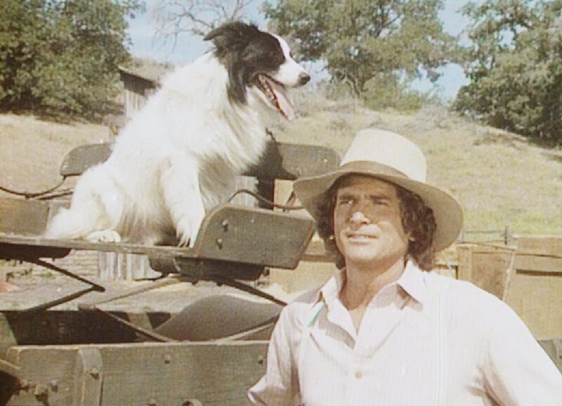 Ein streunender Hund hat sich Charles (Michael Landon) angeschlossen. Wegen seiner sonderbaren Musterung nennen ihn die Ingalls „Bandit“. – Bild: Sat.1 Gold