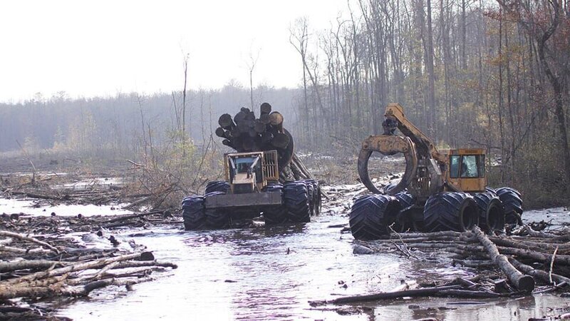 Two Clambunk Skidders at work. – Bild: Discovery Communications /​ Terry Pratt