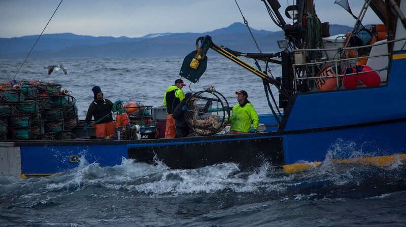 Unbekannt – Bild: Discovery