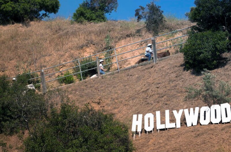 „Es war einmal in Hollywood“: Die amerikanische Traumfabrik inspirierte Regisseur Quentin Tarantino zu einer Westernkomödie. – Bild: Elephant Doc