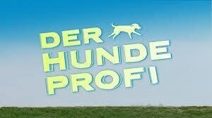 Bild: VOX