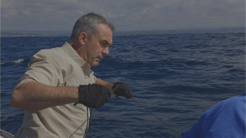 Bild: Licensed by Fremantle Media Enterprises Ltd. Lizenzbild frei