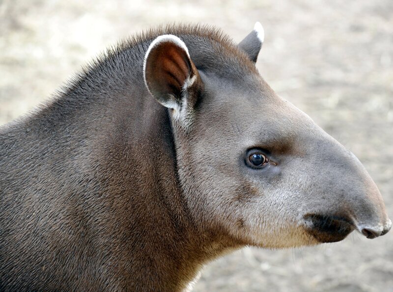 Bild: rbb/​Thomas Ernst