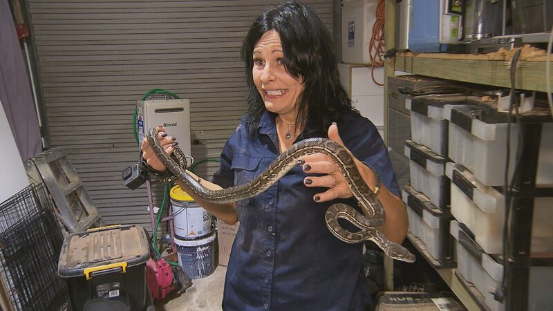 . – Bild: Warner Bros. Discovery