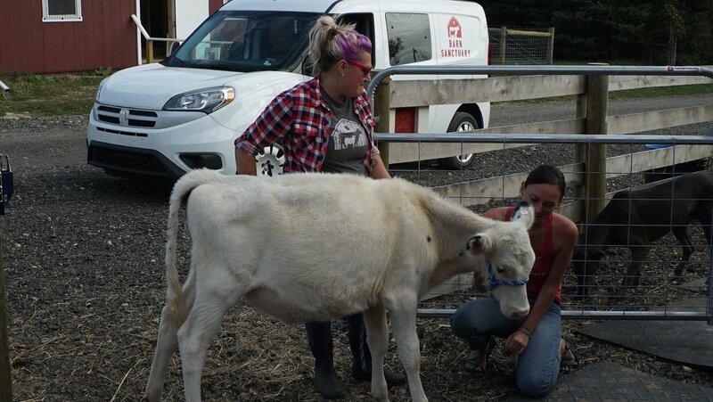 Elisha Trinkle and Kelly Holt welcoming their new rescue, Whitney. – Bild: Discovery Communications, LLC