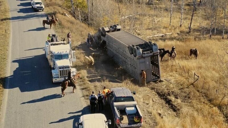 Bild: Great Pacific Media Inc. Bild: Great Pacific Media Inc.