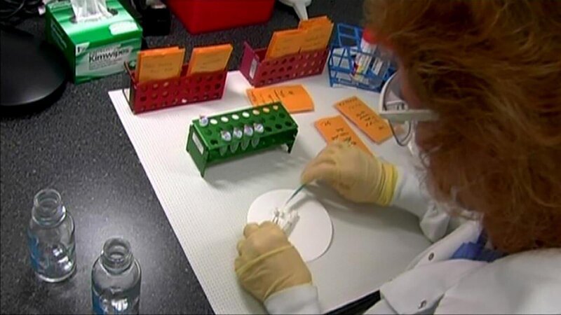 Palm Beach wird von drei Morden an Frauen erschüttert. Im Labor werden die Spuren vom Tatort untersucht … – Bild: RTL II