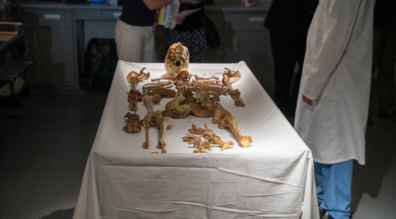 Bild: National Geographic