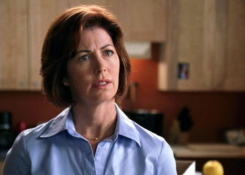 Carolyn Spencer (Dana Delany) ist eine große Gegnerin von anrüchigen Fernsehserien. Würde sie auch eine Schauspielerin brutal angreifen? – Bild: RTL NITRO