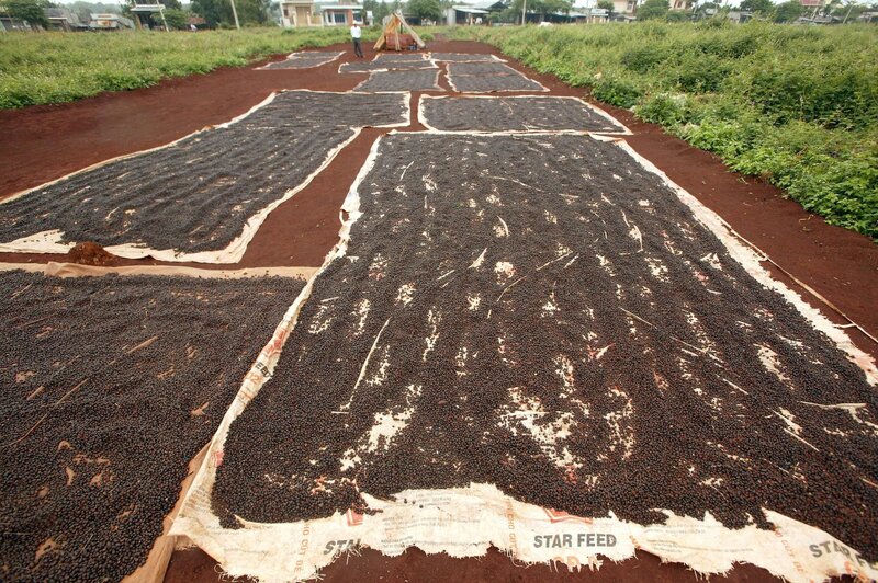 Bild: RTL /​ Getty Images /​ Epilog