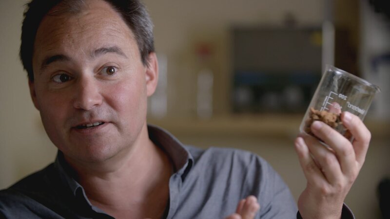 Professor Jose Iriate talks about the natural soils of the Amazon. – Bild: Science Channel /​ Discovery Communications