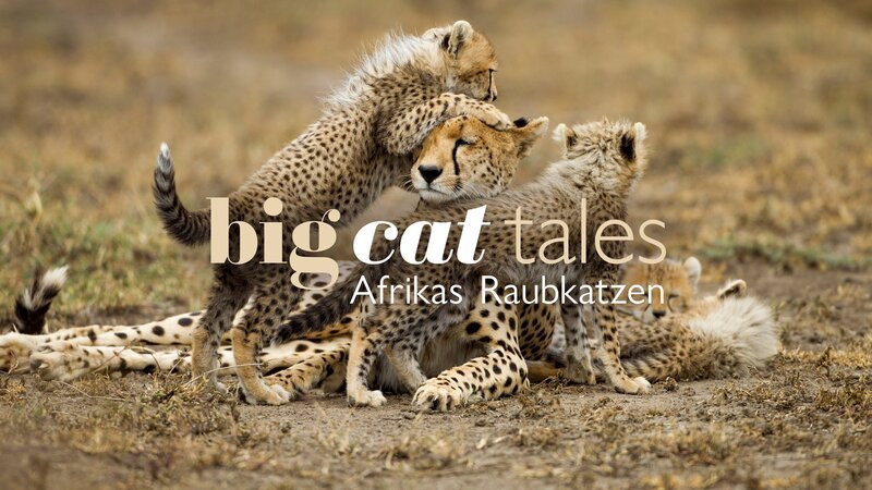 . – Bild: Warner Bros. Discovery