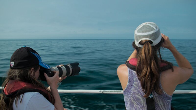 Bild: RTL /​ One Tribe TV /​ Köder