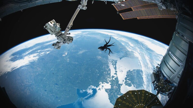 Außerirdische Flugobjekte und ein aggressiver Poltergeist im Fitness-Studio. – Bild: TLC (DEUT)