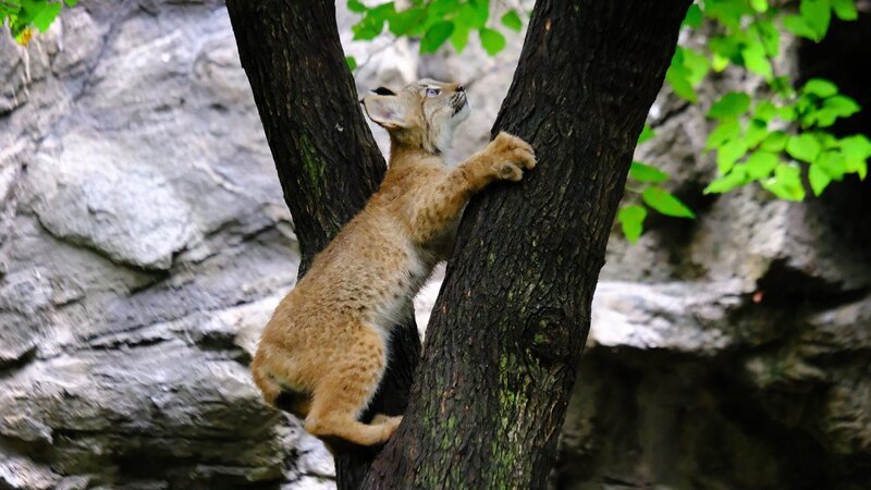 . – Bild: Warner Bros. Discovery