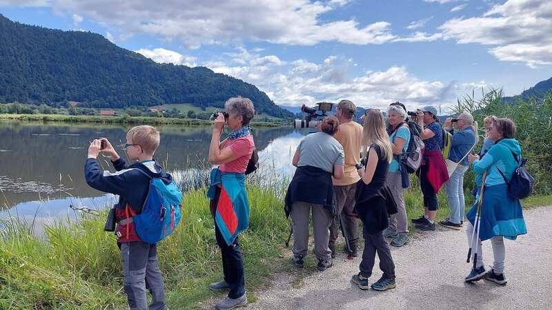 Bleistätter Moor - das artenreiche Natur-, Landschafts- und Europaschutzgebiet lockt auch viele Touristen. – Bild: ORF/ORF Kärnten Bleistätter Moor - das artenreiche Natur-, Landschafts- und Europaschutzgebiet lockt auch viele Touristen. – Bild: ORF/ORF Kärnten