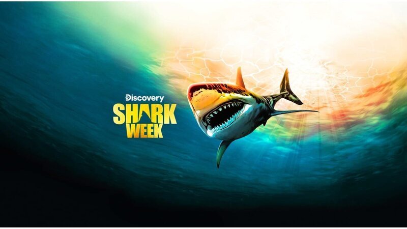 . – Bild: Warner Bros. Discovery