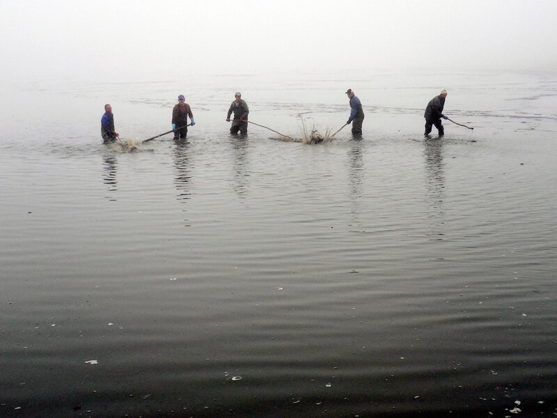 Bild: ORF/AV Dokumenta Bild: ORF/AV Dokumenta