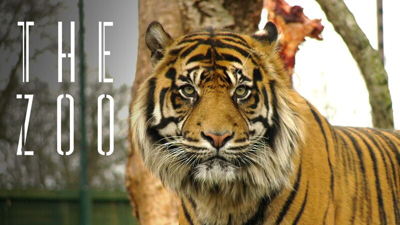 Bild: Discovery Channel I